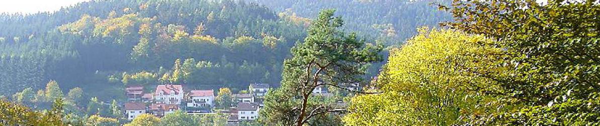 Blick auf Heiligkreuzsteinach - im Vordergrund grüne Bäume