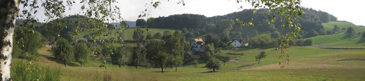 Blick auf Bärsbach