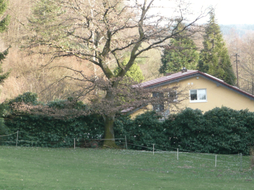 Ferienwohnung Haus am Lenzbach - Blick auf das Haus