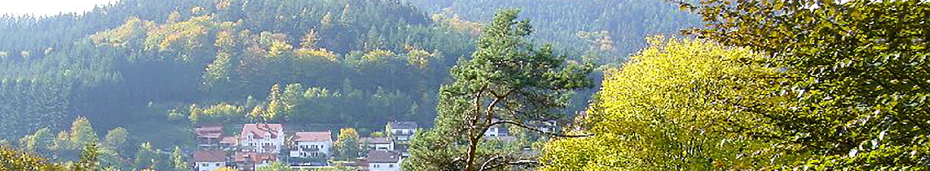 Blick auf Heiligkreuzsteinach - Im Vordergrund Bäume